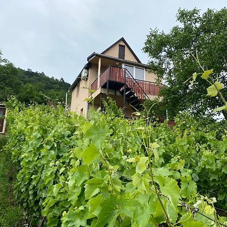 Feher Szolo Vendeghaz Sátoraljaújhely Zewnętrze zdjęcie