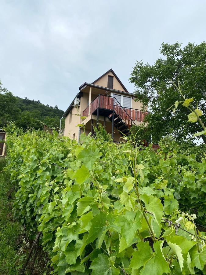 Feher Szolo Vendeghaz Sátoraljaújhely Zewnętrze zdjęcie